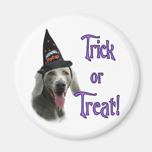 Weimaraner Trick Magneet (Voorkant)