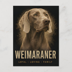 Weimaraner Trouw Liefhebbende GezinsHond Portret Briefkaart