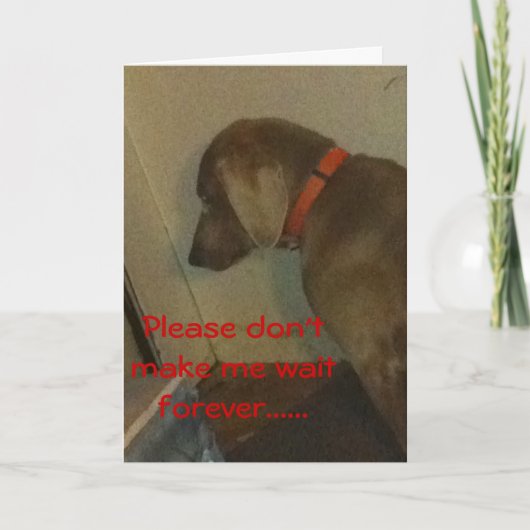 Weimaraner Valentijn Feestdagen Kaart (Voorkant)