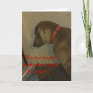 Weimaraner Valentijn Feestdagen Kaart