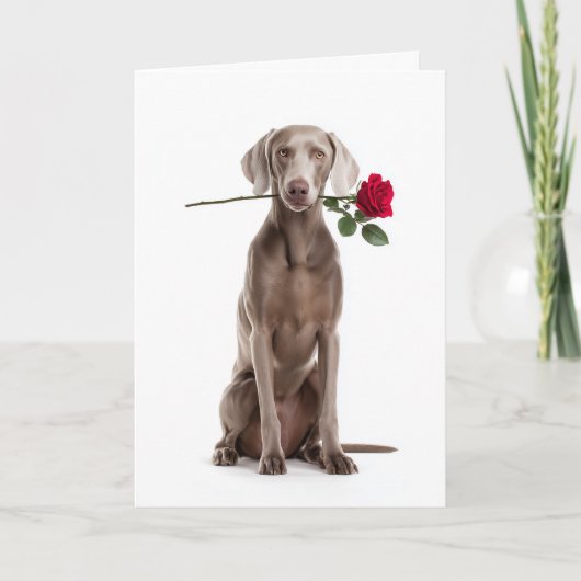 Weimaraner Valentijn Kaart (Voorkant)