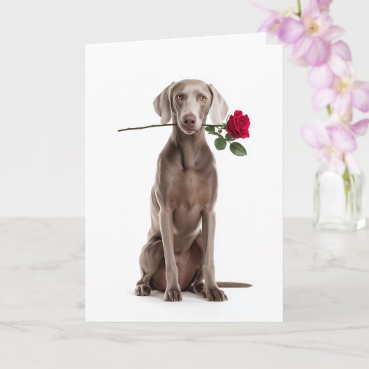 Weimaraner Valentijn Kaart (Orchidee)