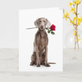 Weimaraner Valentijn Kaart (Gele Bloem)