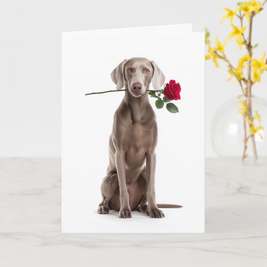 Weimaraner Valentijn Kaart (Gele Bloem)