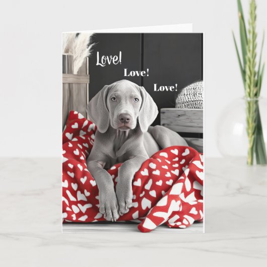 Weimaraner Valentijn Kaart (Voorkant)