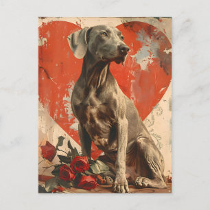 Weimaraner  Valentijnsdag Briefkaart