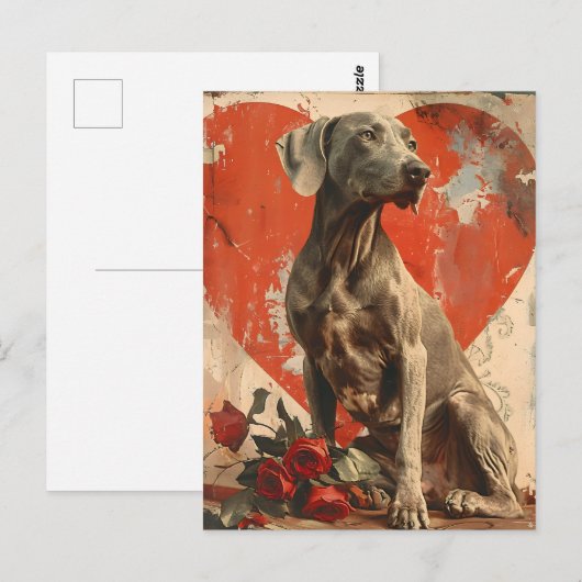 Weimaraner Valentijnsdag Briefkaart (Voorkant / Achterkant)