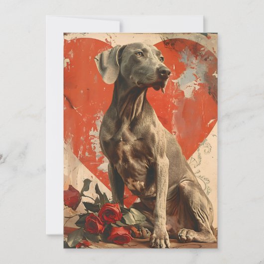 Weimaraner  Valentijnsdag Feestdagenkaart (Voorkant)