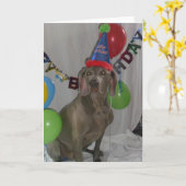 Weimaraner Verjaardag Groeten Kaart (Gele Bloem)