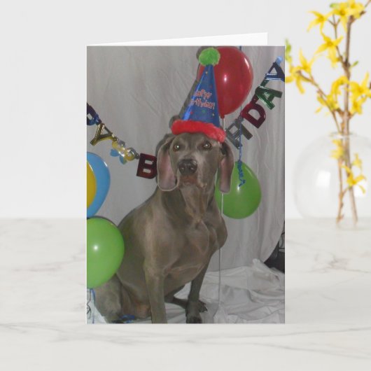 Weimaraner Verjaardag Groeten Kaart (Gele Bloem)