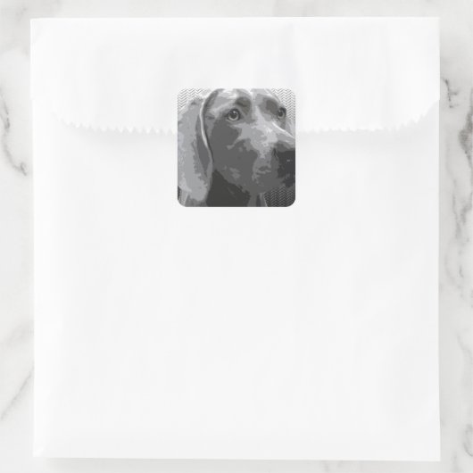 Weimaraner Vierkante Sticker (Tas)