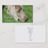Weimaraner Visitekaartjes (Voorkant / Achterkant)