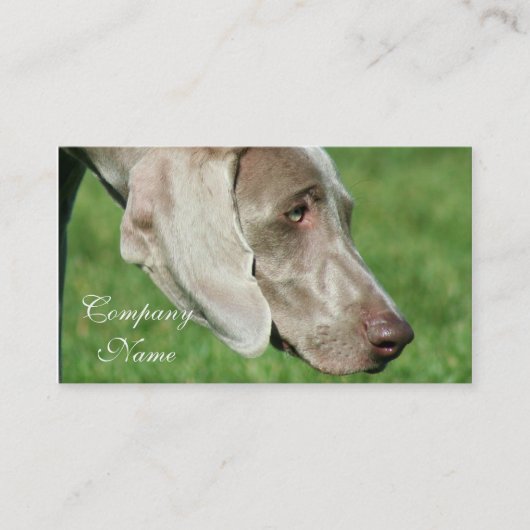 Weimaraner Visitekaartjes (Voorkant)