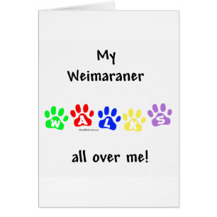 Weimaraner wandelingen