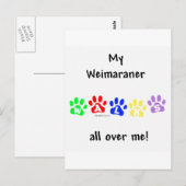 Weimaraner wandelingen briefkaart (Voorkant / Achterkant)