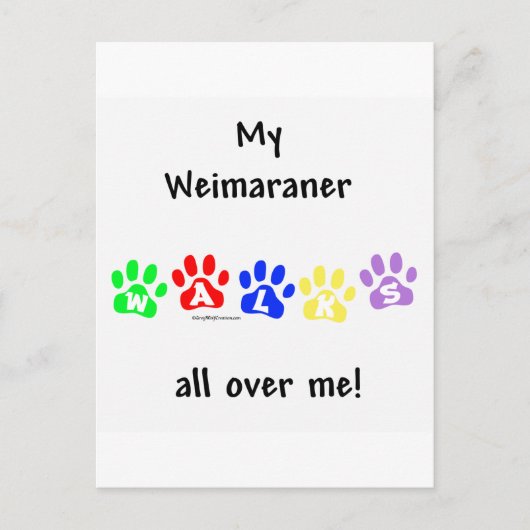 Weimaraner wandelingen briefkaart (Voorkant)