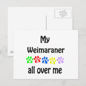 Weimaraner wandelingen ontwerp briefkaart (Voorkant / Achterkant)