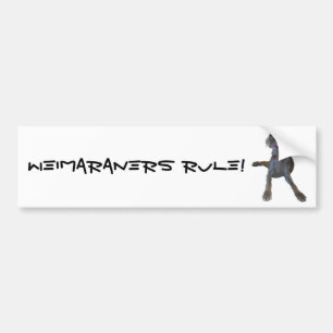 Weimaraners Rule! Bumpersticker