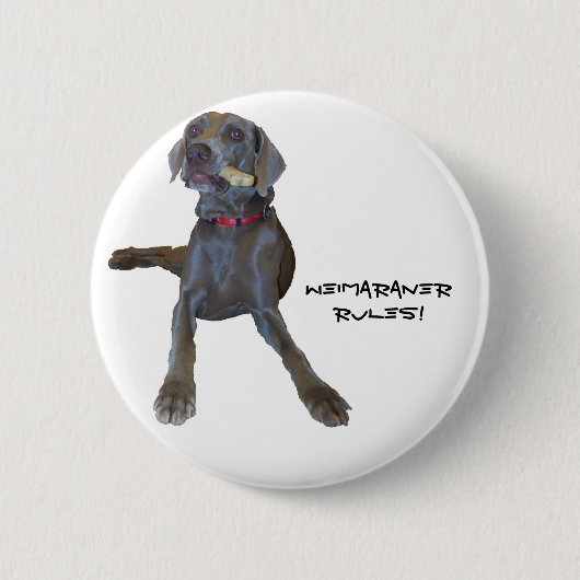 Weimaraners Rule! Ronde Button 5,7 Cm (Voorkant)
