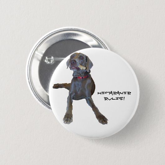 Weimaraners Rule! Ronde Button 5,7 Cm (Voorkant /achterkant)
