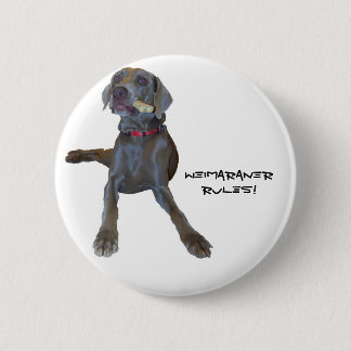 Weimaraners Rule! Ronde Button 5,7 Cm