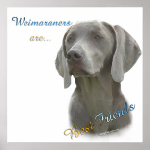 Weimaraners zijn Beste Vrienden Poster