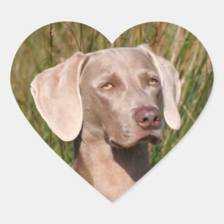 weimarant hart sticker