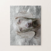 Weimarantaat Legpuzzel (Verticaal)