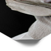 Weimarantaat poster (Hoek)