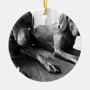 Weimarantiestelsel Keramisch Ornament