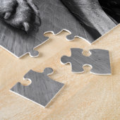 Weimarantiestelsel Legpuzzel (Zijkant)