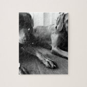 Weimarantiestelsel Legpuzzel (Verticaal)