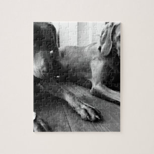 Weimarantiestelsel Legpuzzel