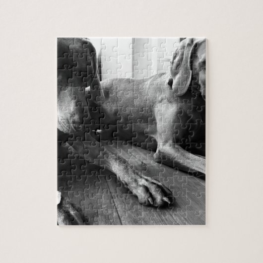 Weimarantiestelsel Legpuzzel (Verticaal)