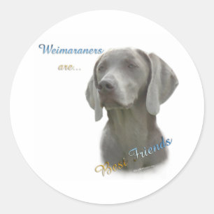 Weimeraner Beste Vriend 2 - Sticker