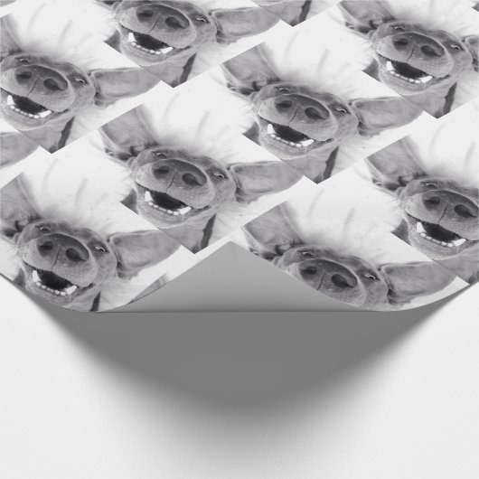 Weimeraner Cadeaupapier (Hoek)