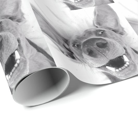 Weimeraner Cadeaupapier (Rol Hoek)