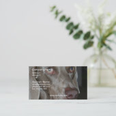 Weimeraner Dog Visitekaartje (Staand voorkant)