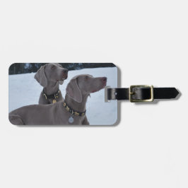Weimeraner in de sneeuw bagagelabel