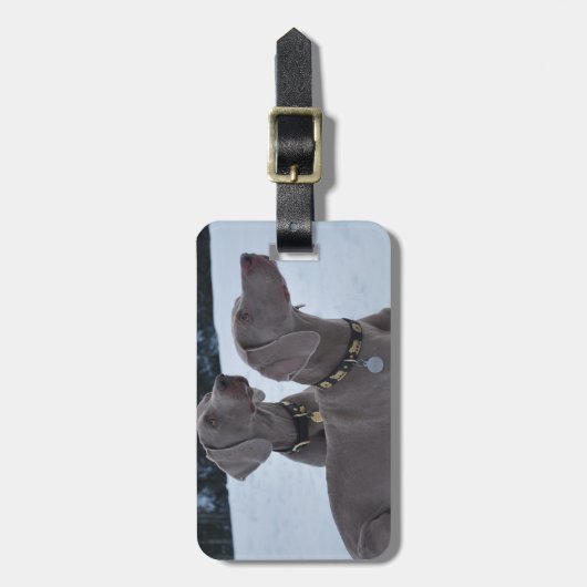 Weimeraner in de sneeuw bagagelabel (Voorkant verticaal)