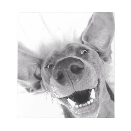 Weimeraner Notitieblok (Voorkant)