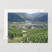 Weinberge Briefkaart (Voorkant / Achterkant)