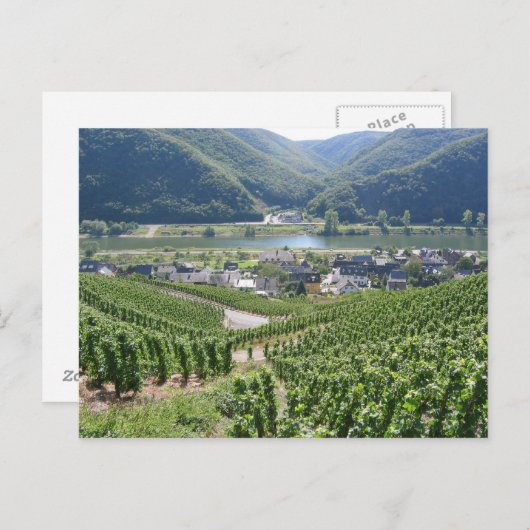 Weinberge Briefkaart (Voorkant / Achterkant)