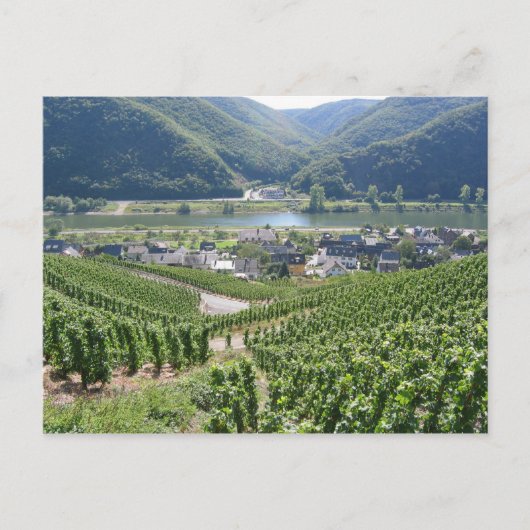 Weinberge Briefkaart (Voorkant)