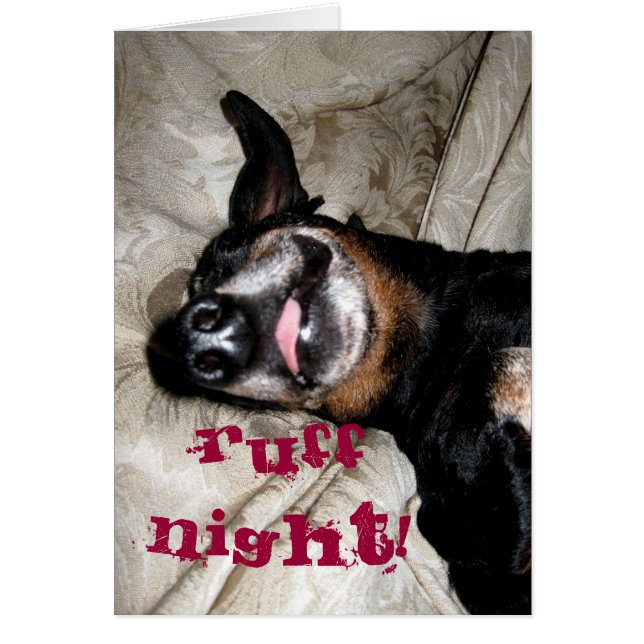 Weiner Dog (Voorkant)