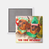 Weiner Hond Kerst Elf Magneet (Voorkant / Achterkant)