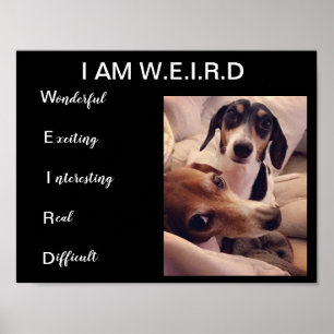 Weiner-honden Poster