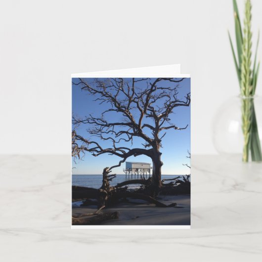 "weinig blauwe" notecard kaart (Voorkant)