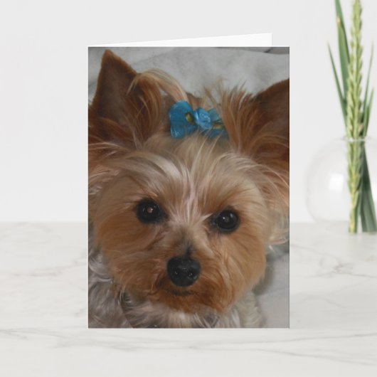 Weinig Bondgenoot Kaart (Voorkant)