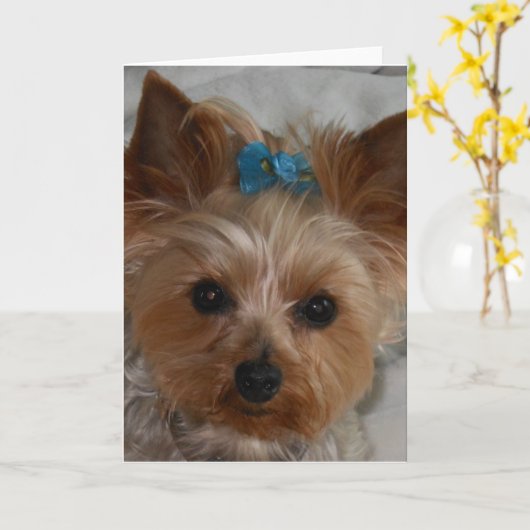 Weinig Bondgenoot Kaart (Gele Bloem)